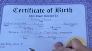 Une adorable souvenir de naissance