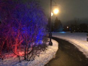 VIDÉO – Le parc Optimiste illuminé à Sainte-Catherine