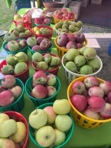 Le marché bio-local de Candiac ferme définitivement