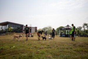 Le Club de marche de la SPCA Roussillon de retour