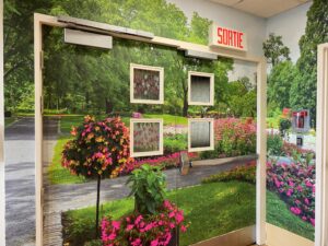 VIDÉO – Des murales embellissent le CHSLD Champlain-Jean-Louis-Lapierre