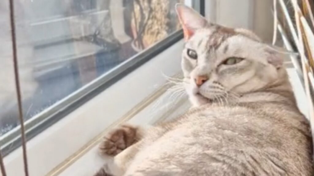 SVP, ne pas déranger!