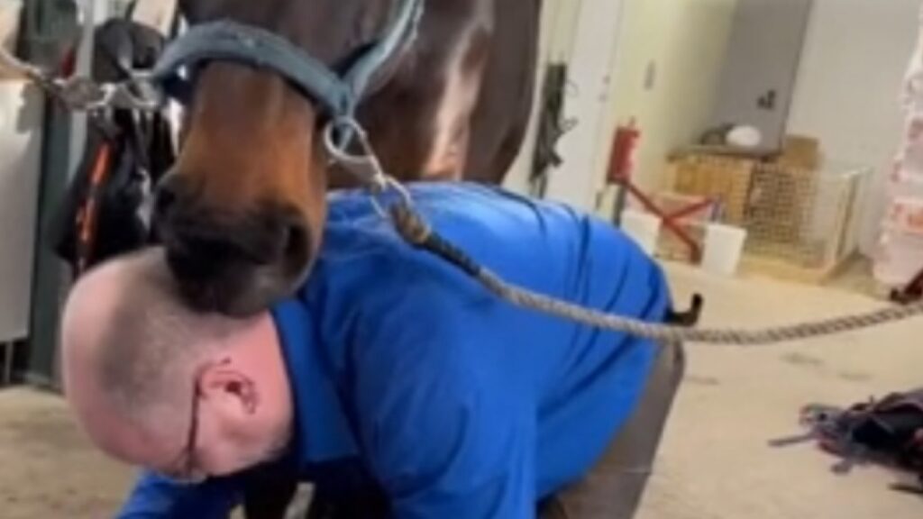 Quand tu ne peux pas avoir la paix en travaillant