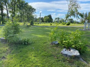 Trois villes participent au jour de la Terre