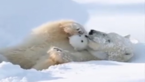 Ça ne peut que créer un sourire!