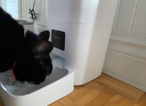 Billet d&rsquo;humeur : Se faciliter la vie