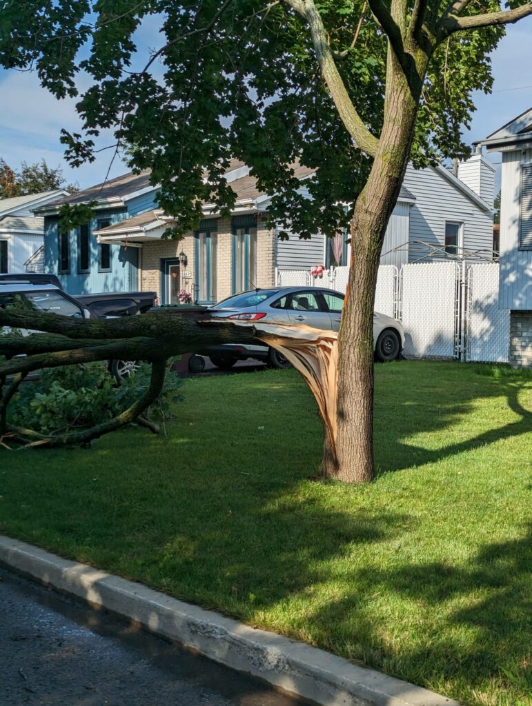 Orage : une quinzaine d’appels aux pompiers des Grandes-Seigneuries