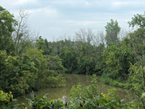 Eau impropre: la rivière de la Tortue à éviter