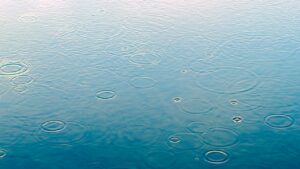 Candiac encourage l’utilisation de l’eau de pluie