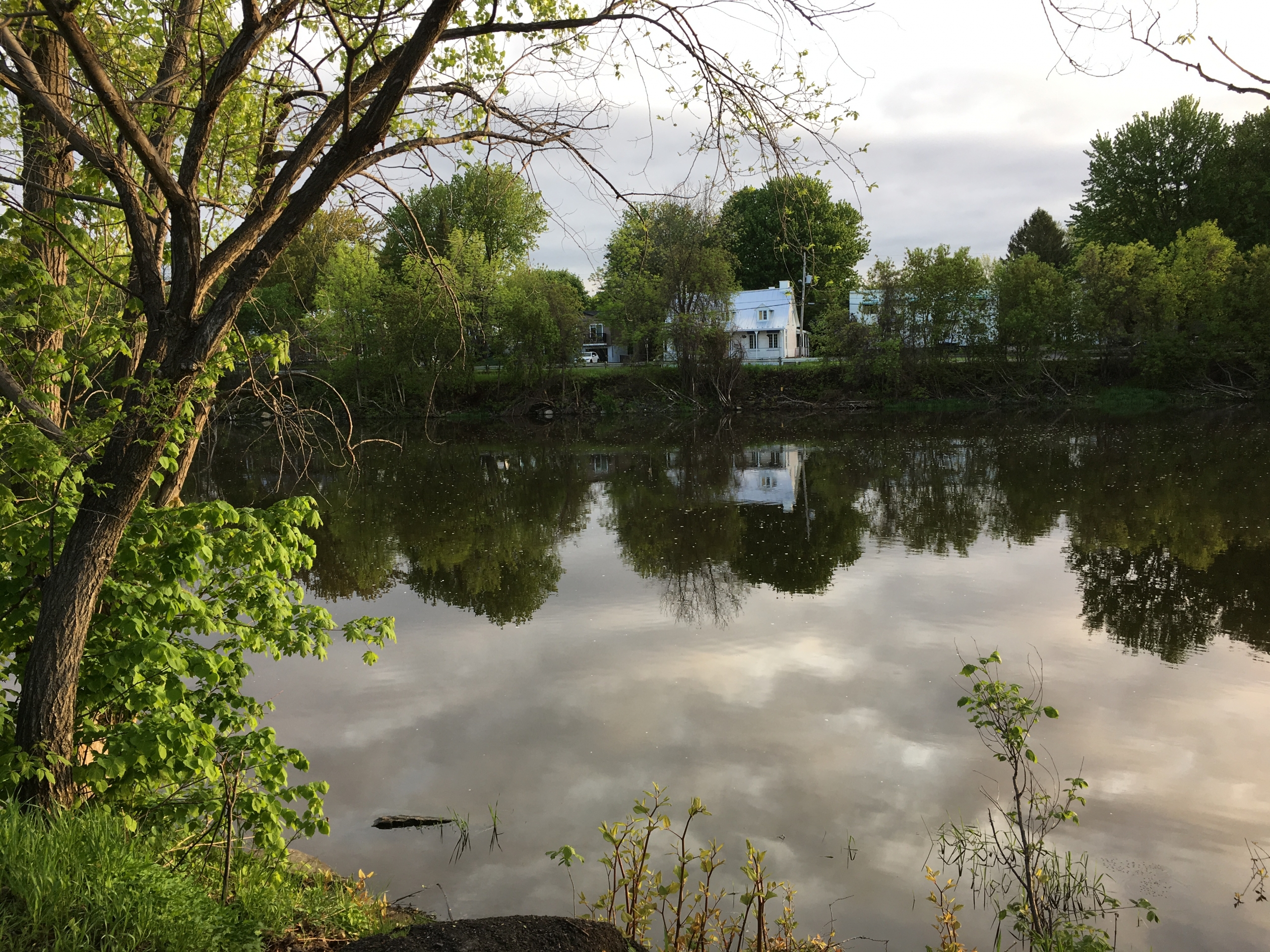 La baignade est possible dans la rivière Châteauguay selon une étude
