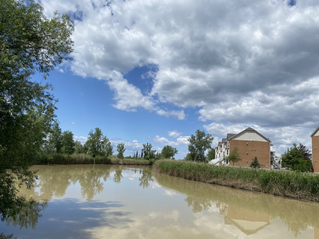 Des candidats interrogés sur leurs engagements en environnement