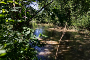 Selon un organisme de conservation : la rivière Saint-Régis a besoin d&rsquo;amour