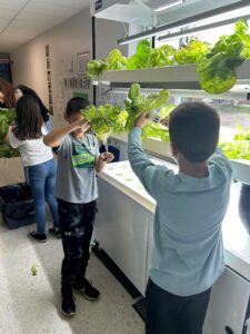 Jardin hydroponique à Saint-Constant : semer pour donner