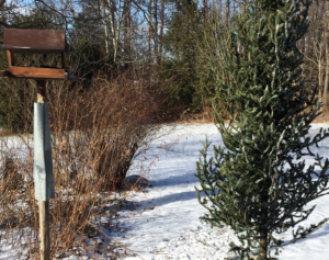 Collecte de sapins, cartons et objets volumineux