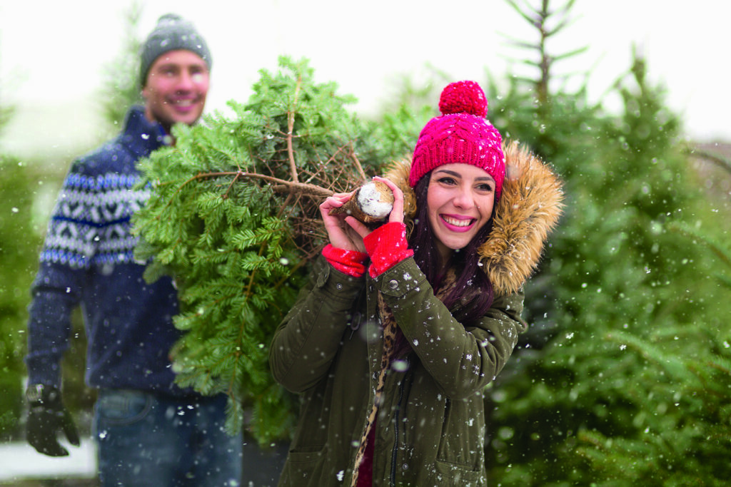 Sapin naturel ou artificiel : lequel choisir?
