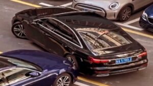 Tout un champion du stationnement!