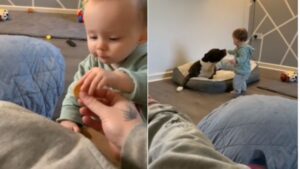 C’est comme ça que tout a commencé!