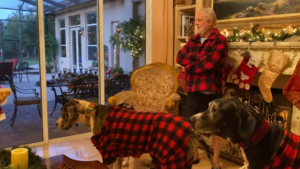 Tout le monde est prêt pour la suite des festivités?