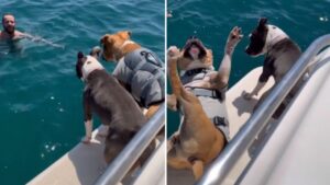 Un chien à la mer!