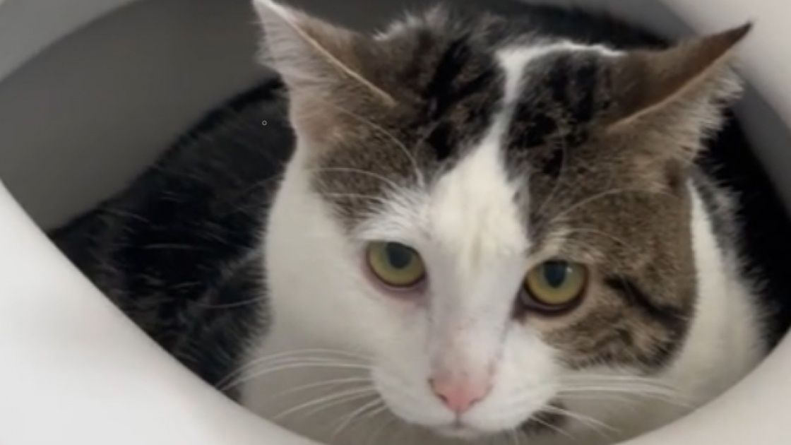 Mais tu parles d&rsquo;un endroit pour te coucher!?