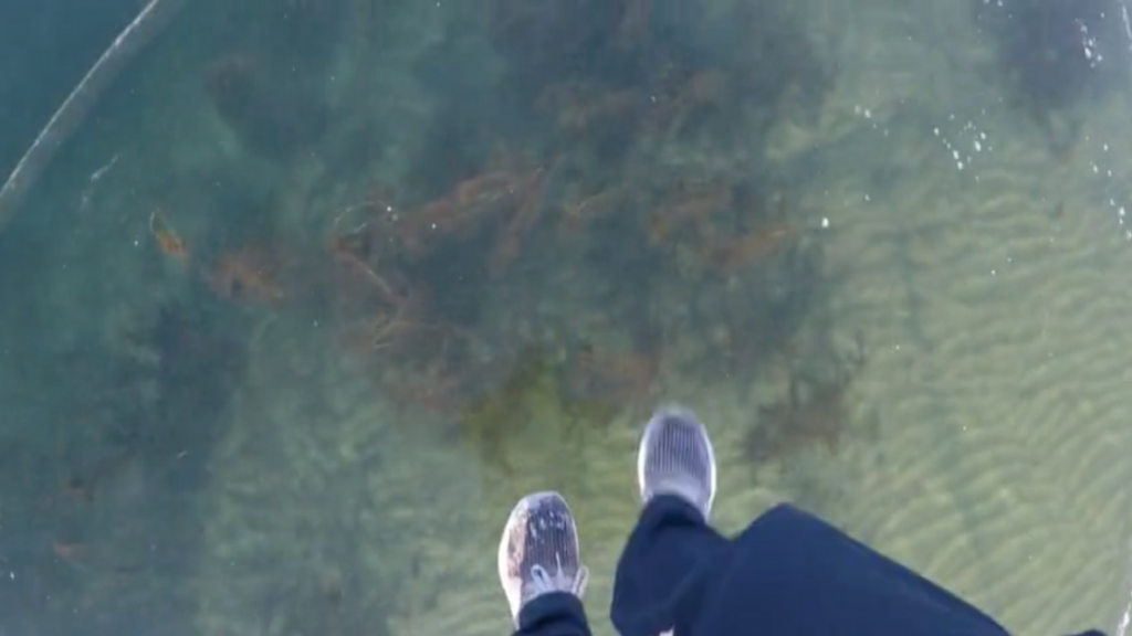 Effrayant… mais absolument magnifique!