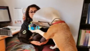 Un petit jaloux, ce pitou!