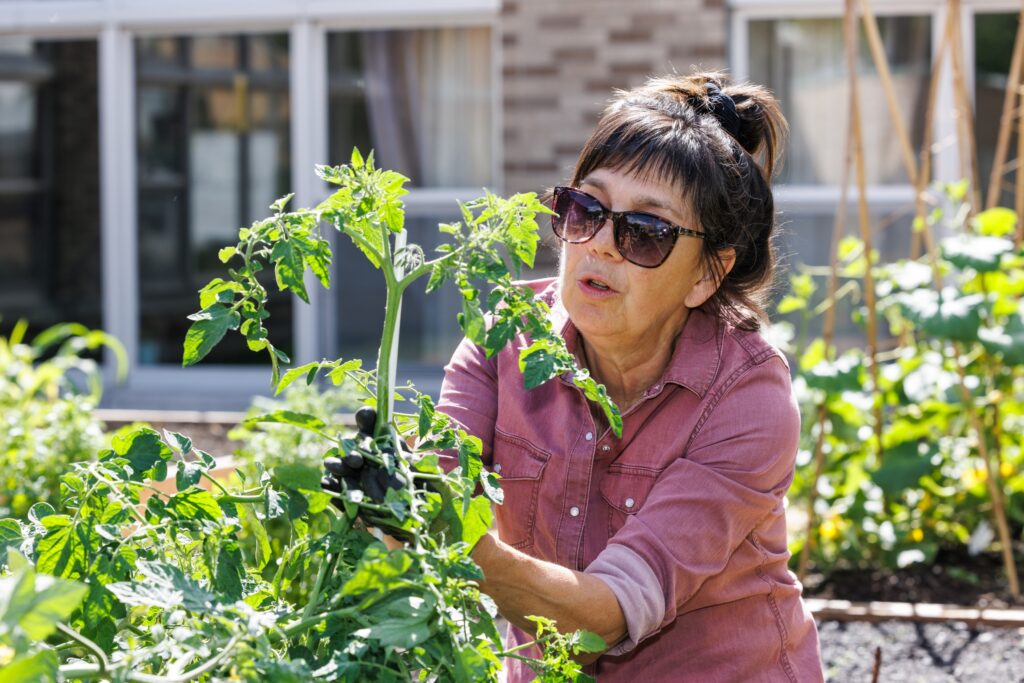 VIDÉO – Le Jardin des Sœurs grises renaît à l’île Saint-Bernard