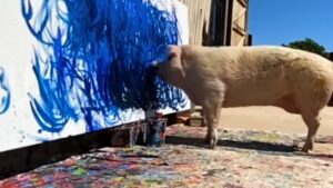 Un petit cochon qui aime peindre