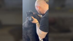 FOU! Voyez la RÉACTION  de ces chiens et chats qui se font craquer par un CHIRO!!!