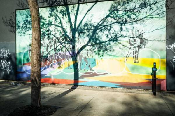 Nouvelle exposition photo au parc André-J.-Côté