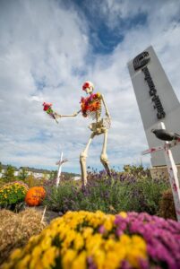 Décoration volée : un nouveau squelette à Saint-Constant