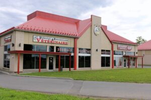 Un syndicat se forme à l’Hôpital vétérinaire du Roussillon