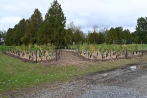 Développement durable: Candiac et d&rsquo;autres villes s&rsquo;allient à une université