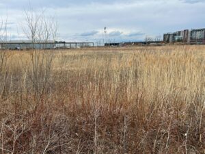 Souhait d’une future école primaire : Candiac donnera un terrain au Centre de services scolaire