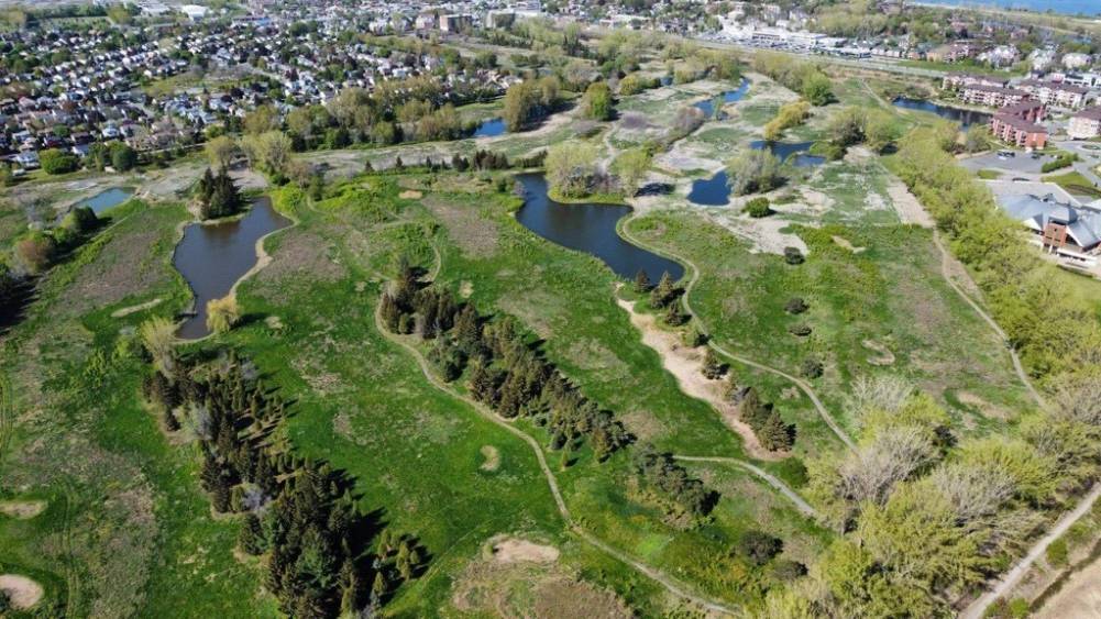 La Prairie, Ville amie des arbres