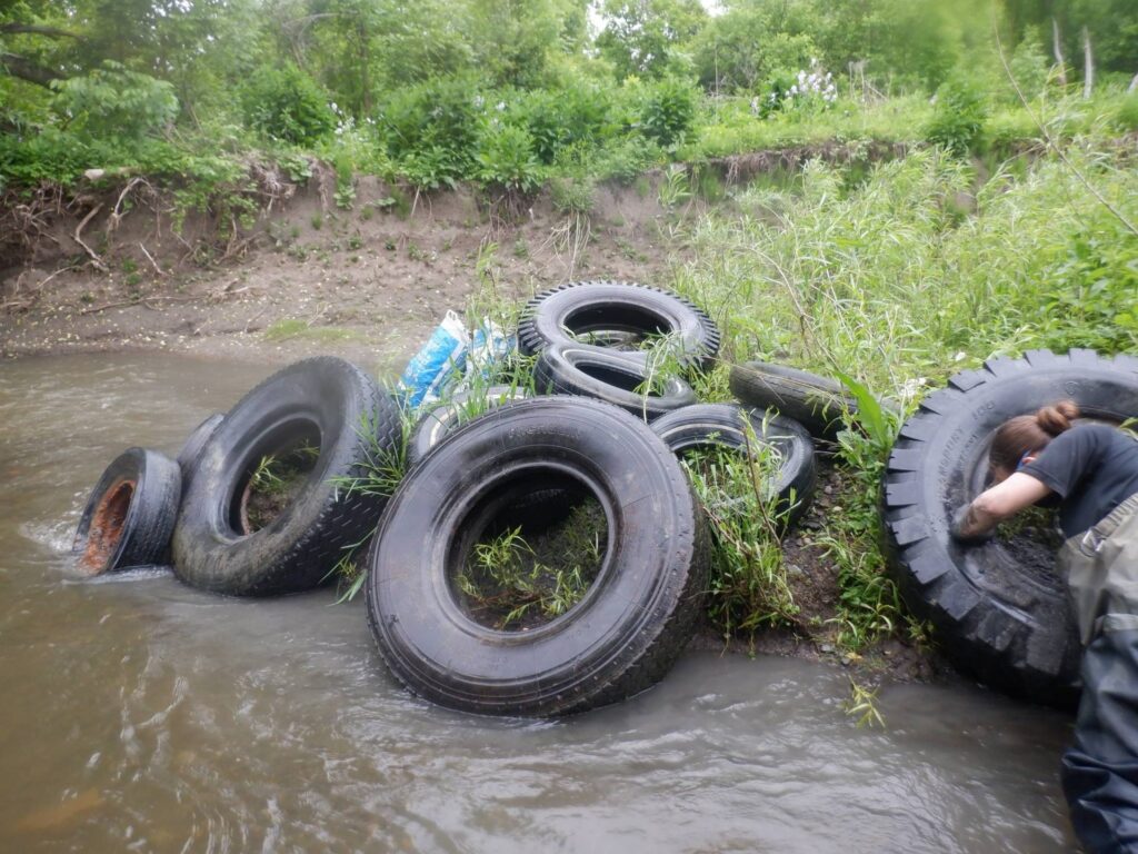 Rivière de la Tortue à Delson : des pneus extirpés par dizaines