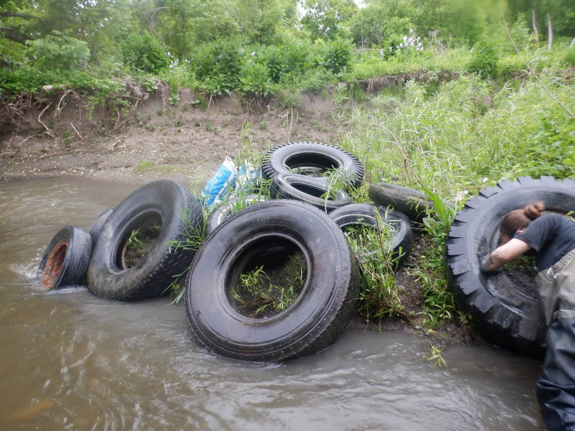 Rivière de la Tortue à Delson : des pneus extirpés par dizaines