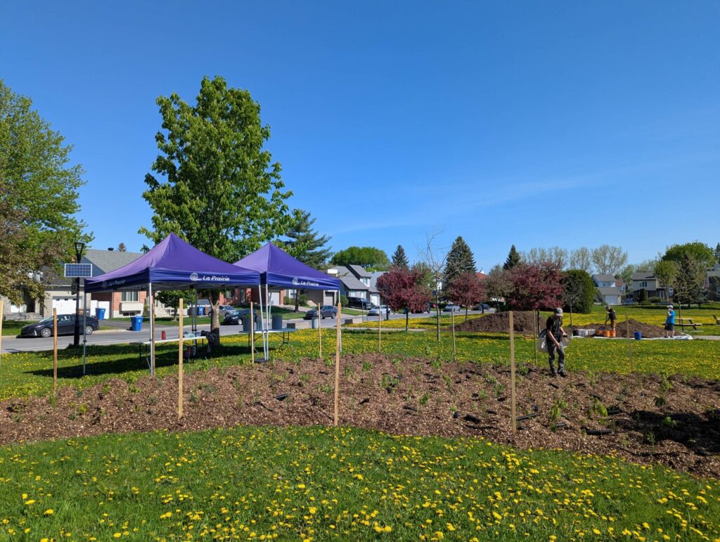 Une nouvelle microforêt pousse à La Prairie