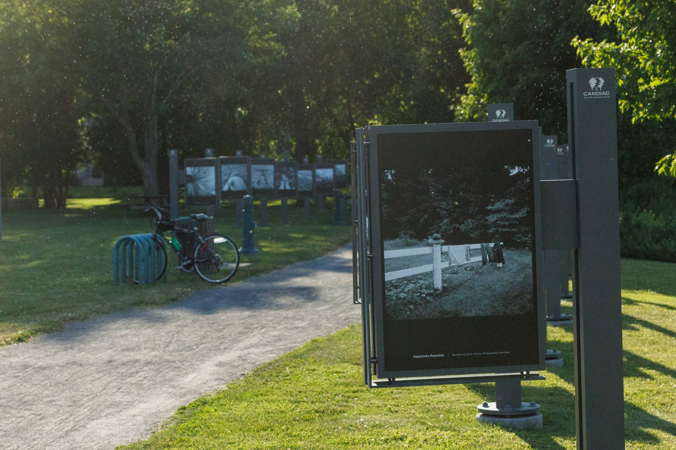 Six expositions à voir en plein air
