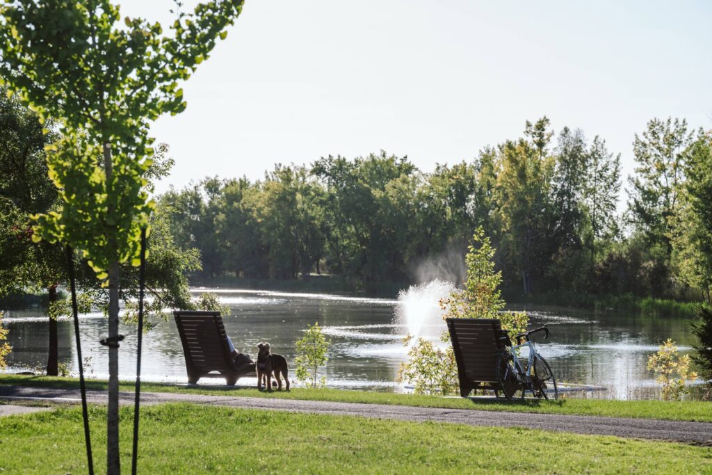 Le parc des Jésuites de nouveau accessible