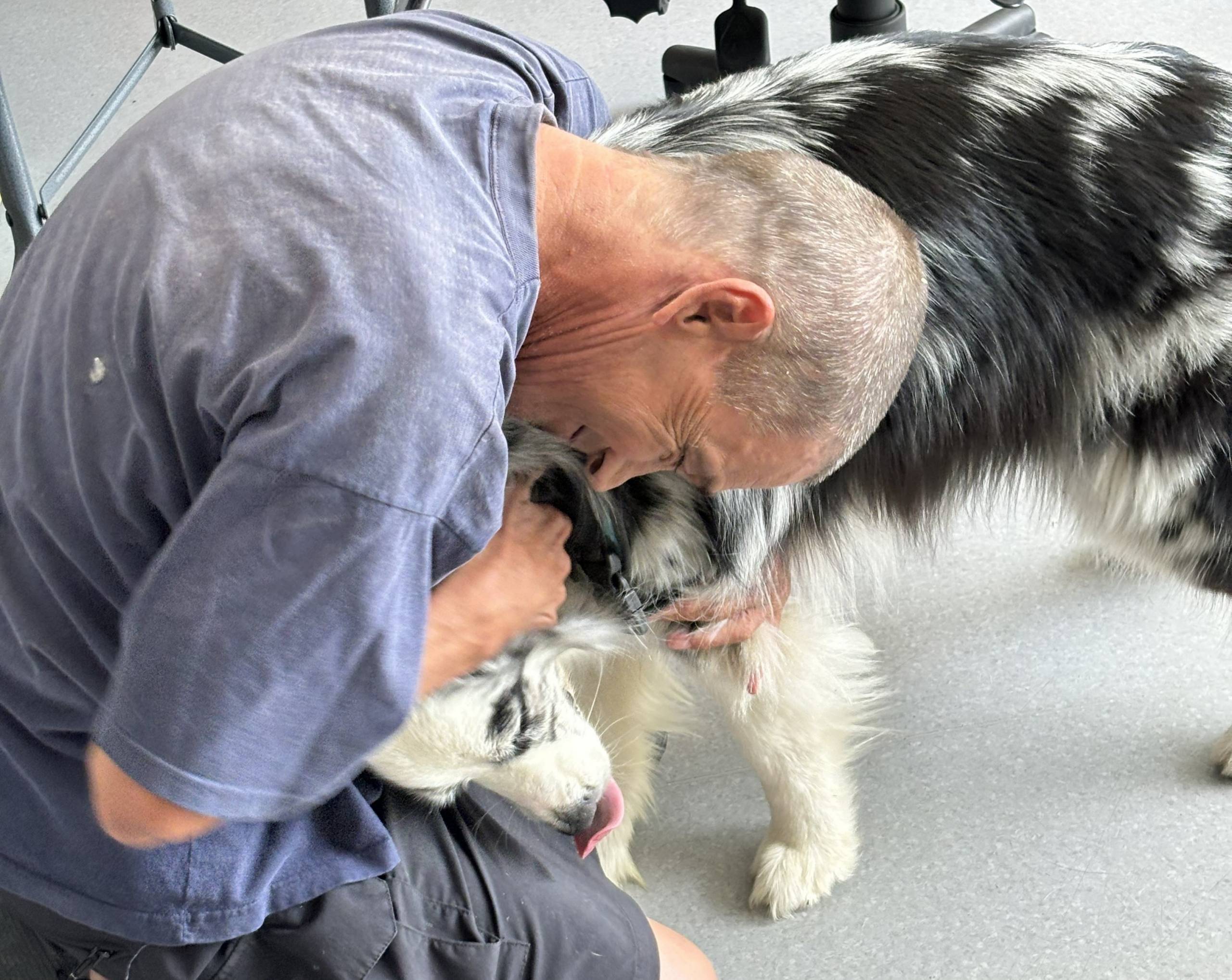 Adaptateur et convertisseur de voyage: quels sont les meilleurs à choisir?