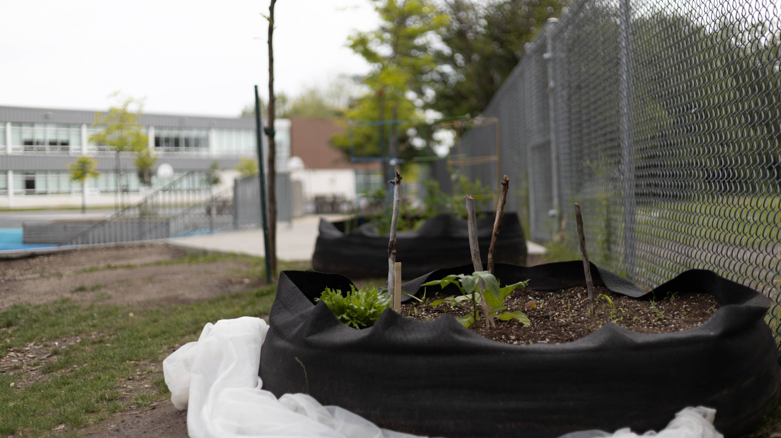 Prank de l’arroseur arrosé!