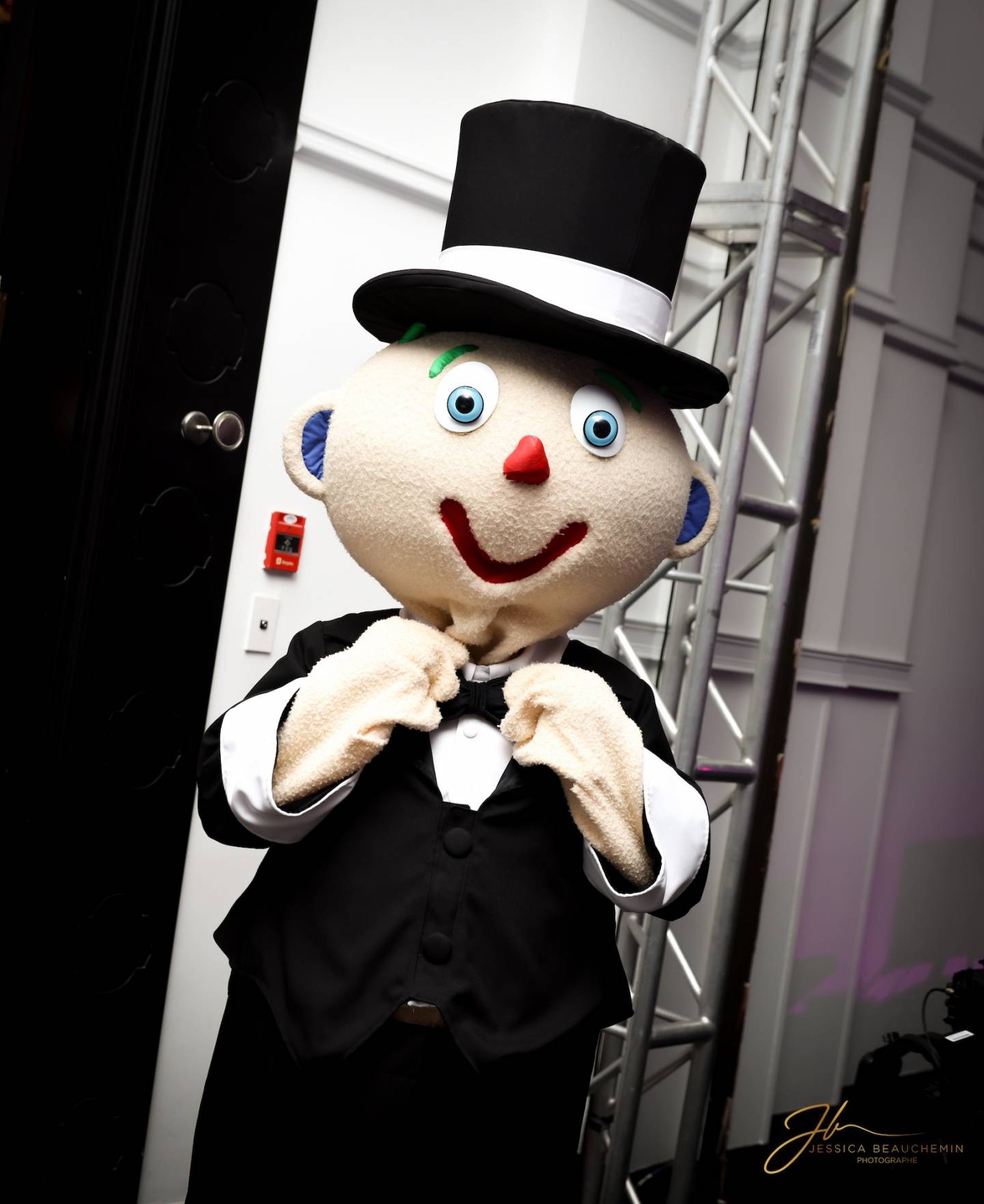 Image illustrant l'article