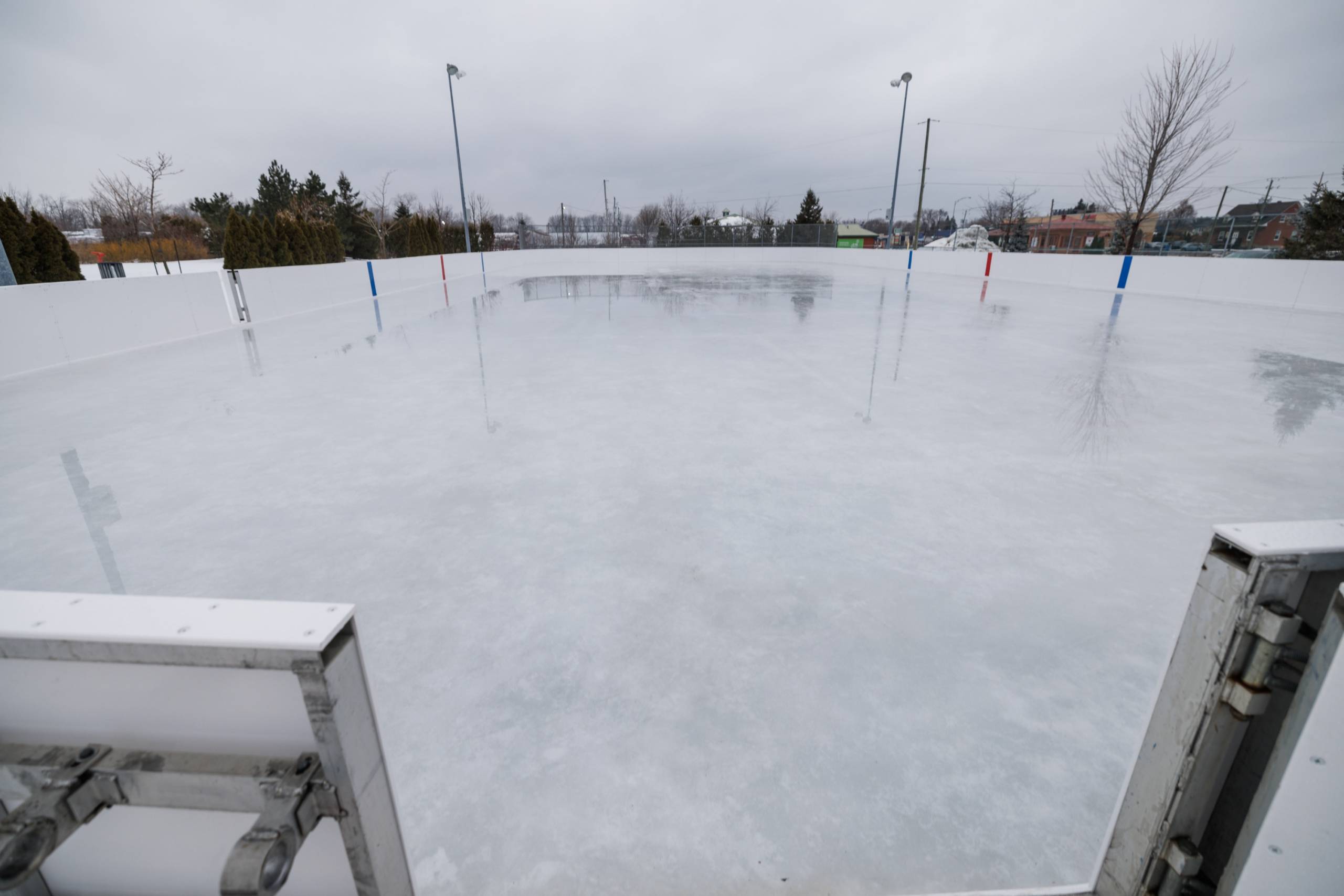 Comment distraire votre chien pour lui couper les ongles