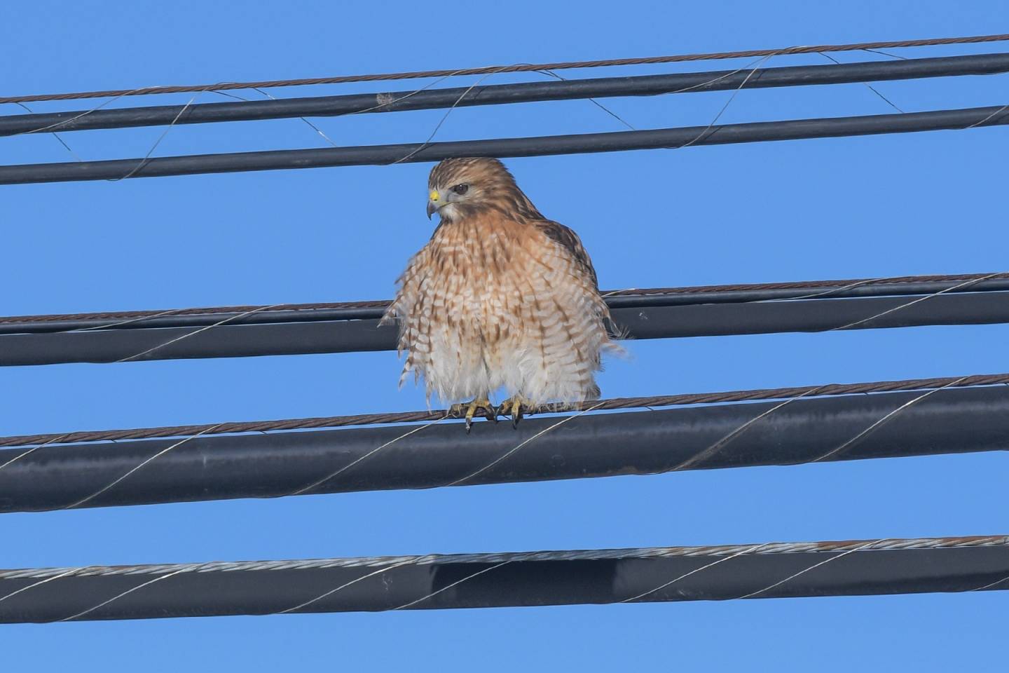 On devra payer pour recevoir de nouvelles mises à jour de sécurité sur Windows 10