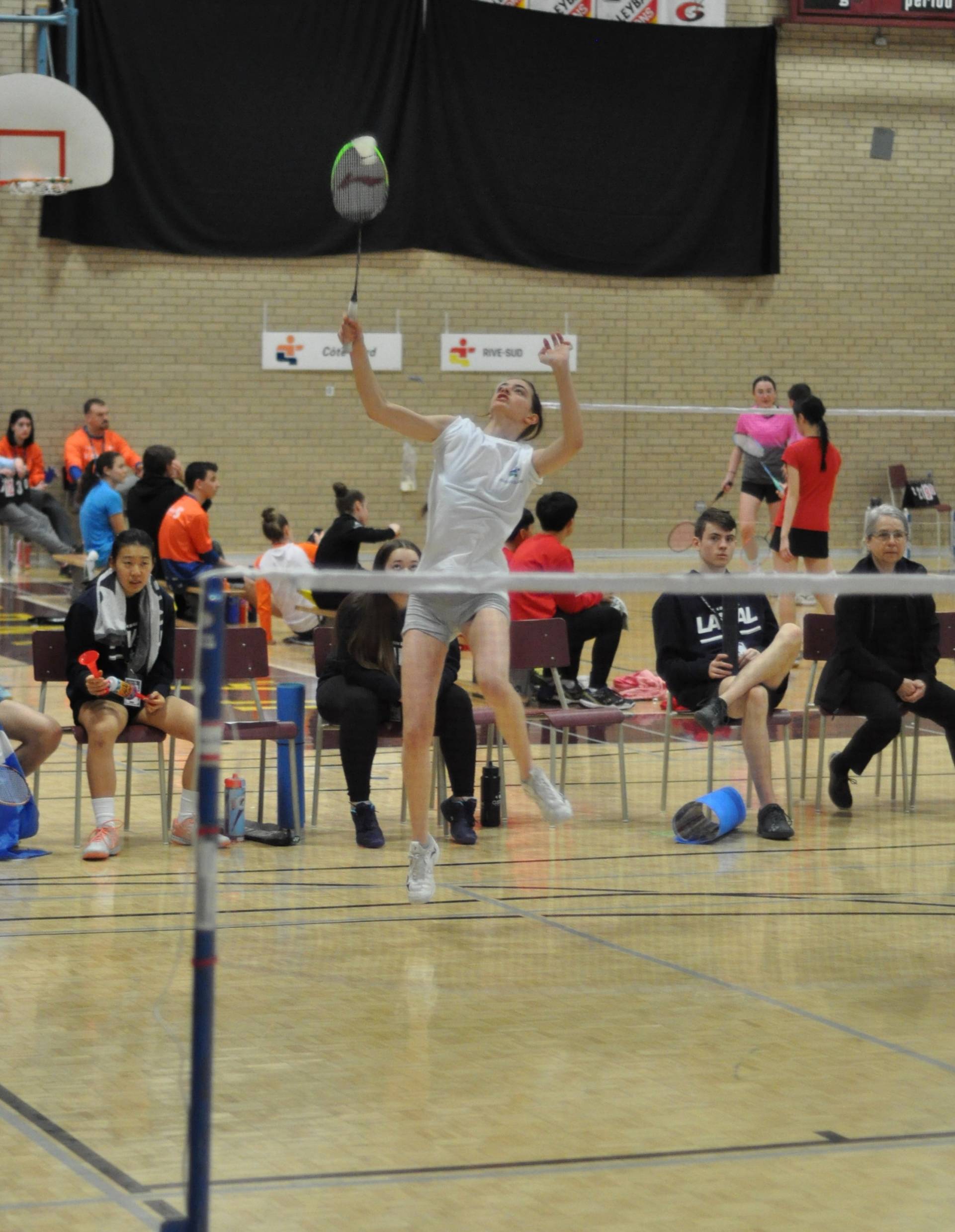 Comment télécharger toutes nos photos sur Facebook et Instagram