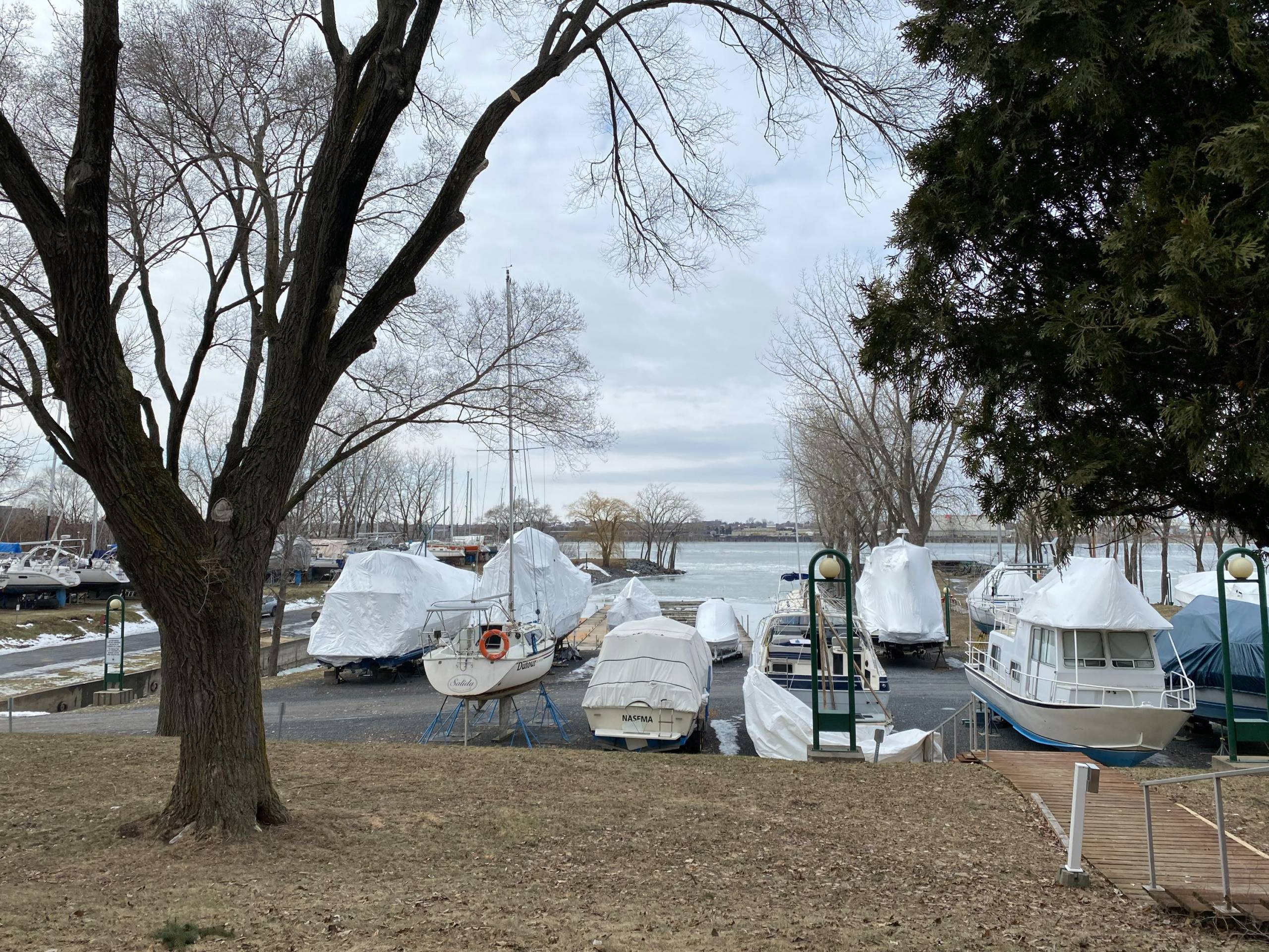 Image illustrant l'article