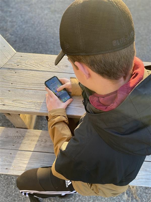 Les 2 loutres et le chat