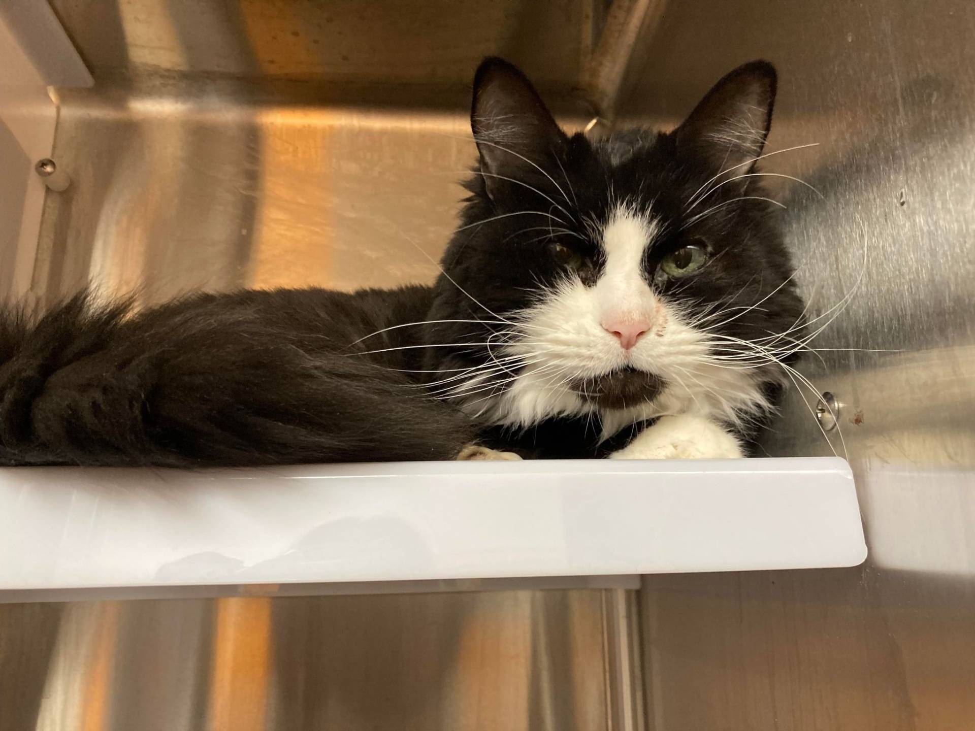 Quand la surprise ne donne pas le résultat voulu!