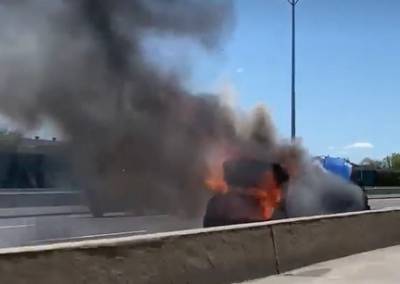 Le compagnon de marche